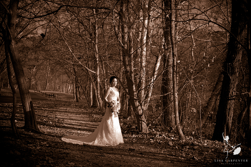 lisa carpenter asian weddings34