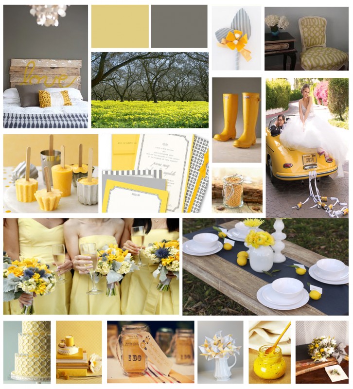 YRSunshineboard