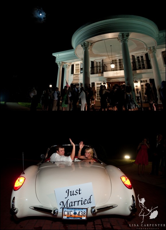 lisa carpenter weddings ZJL29